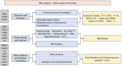 Causal validation of the relationship between 35 blood and urine biomarkers and hyperthyroidism: a bidirectional Mendelian randomization study and meta-analysis